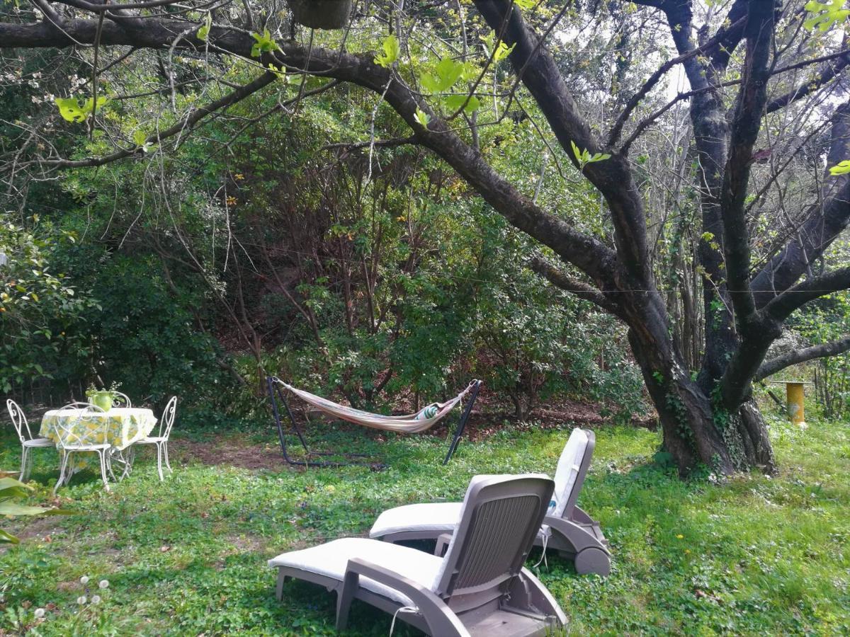 Joli Appartement Dans Villa Entre Nice Et L'Arriere Pays Castagniers Luaran gambar