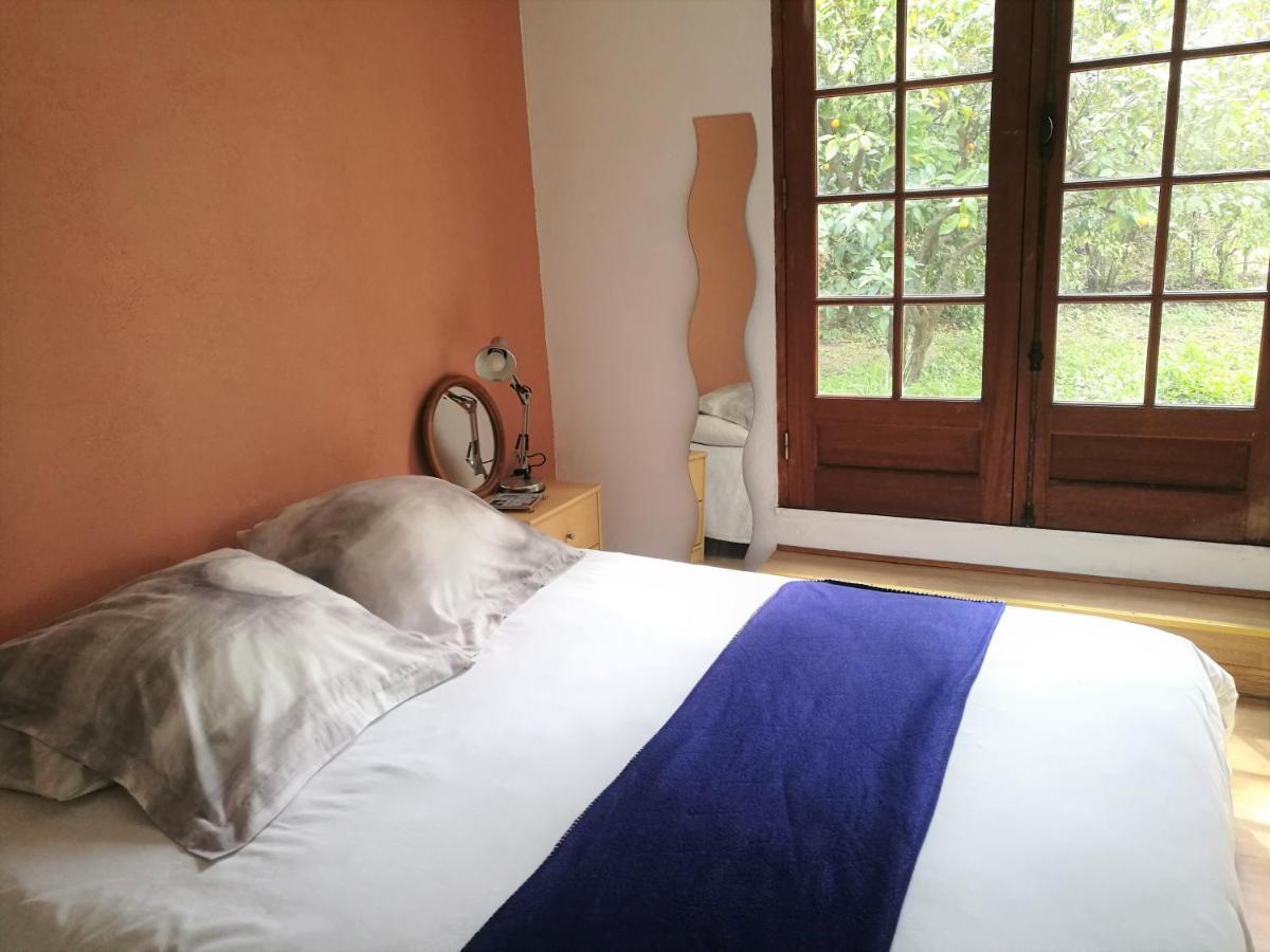 Joli Appartement Dans Villa Entre Nice Et L'Arriere Pays Castagniers Luaran gambar